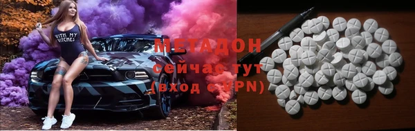 прущие грибы Майский