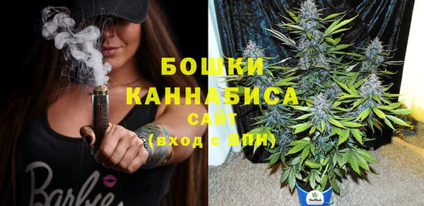 гашик Липки