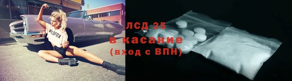 прущие грибы Майский