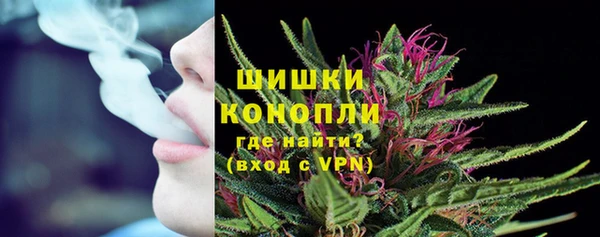 прущие грибы Майский