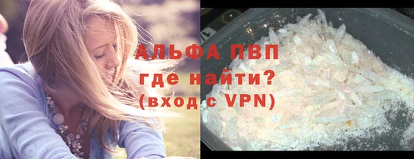 прущие грибы Майский